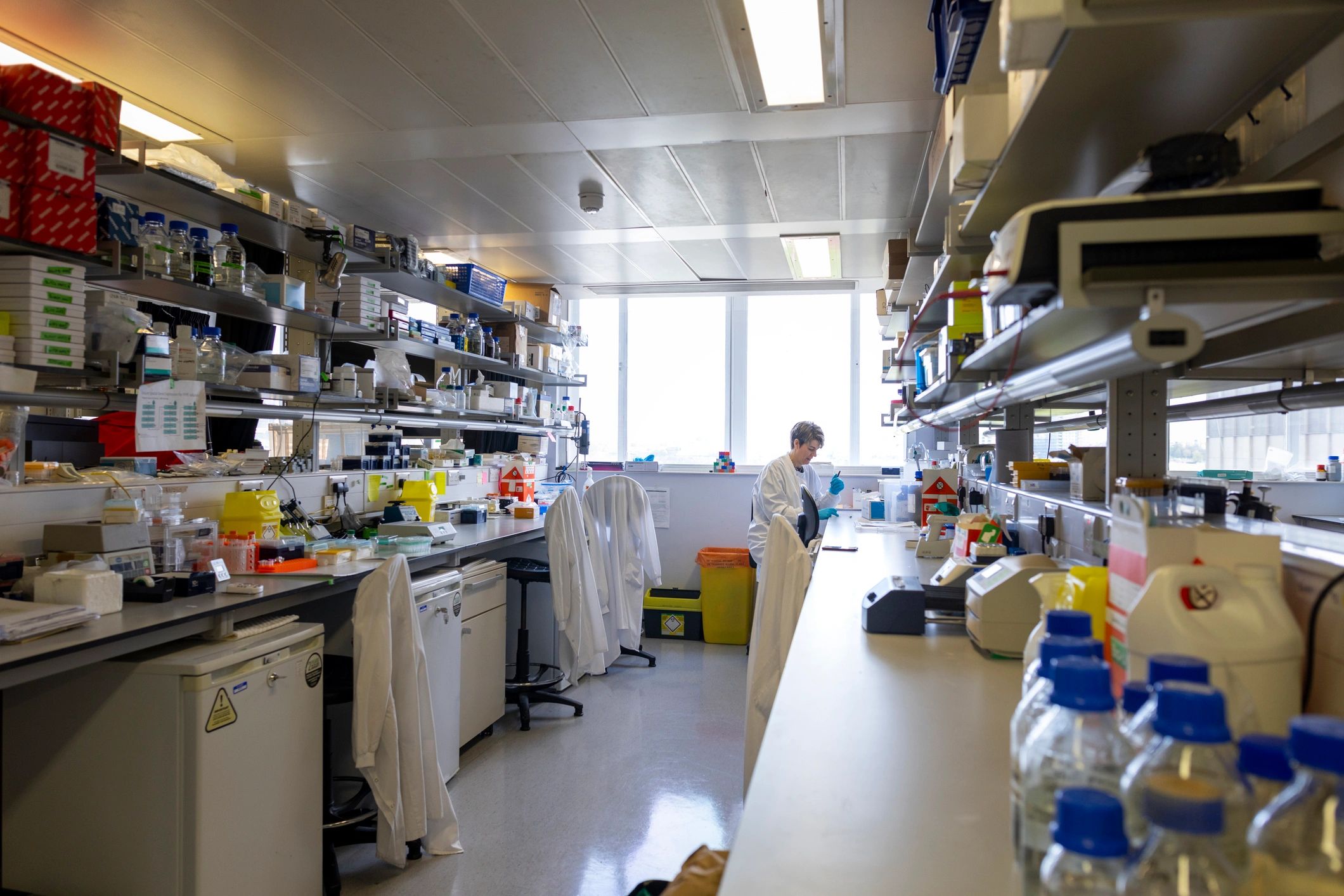 Scientist working in a research laboratory